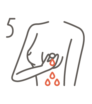 gfx bse 5